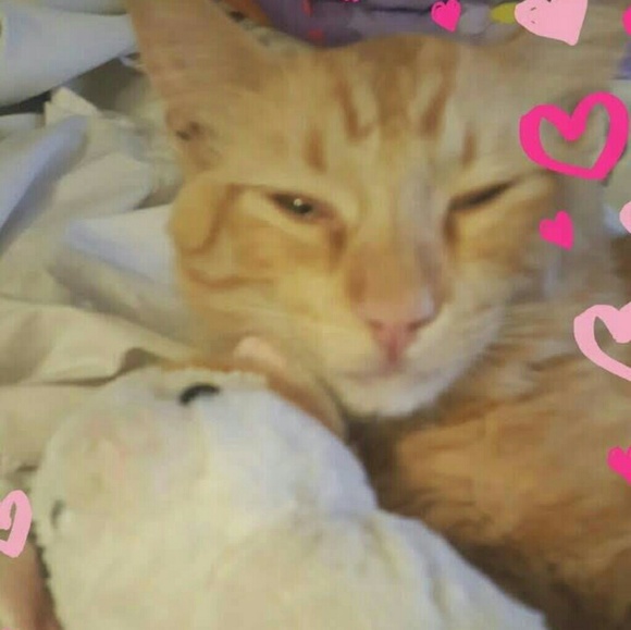 🐞Meet your Posher, Rosa🌹 - Picture 2 of 6